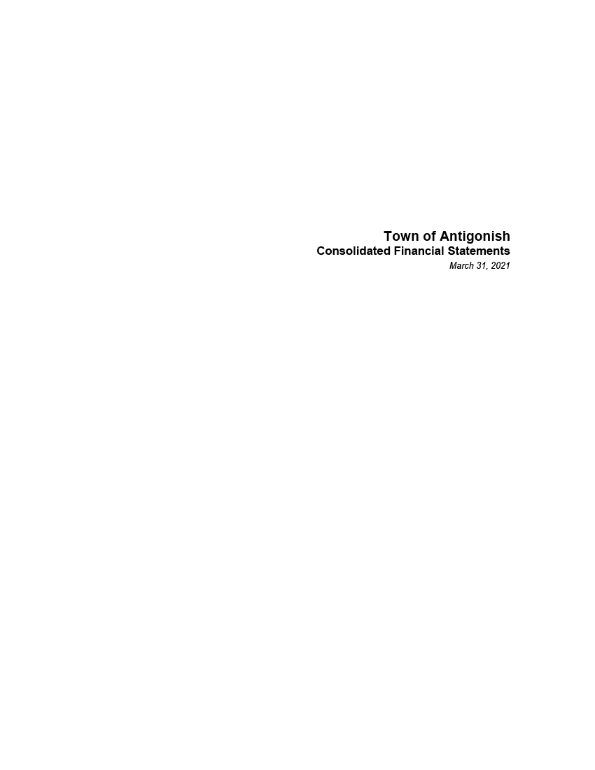 Town and County Consolidated Financial Statements 2020-21